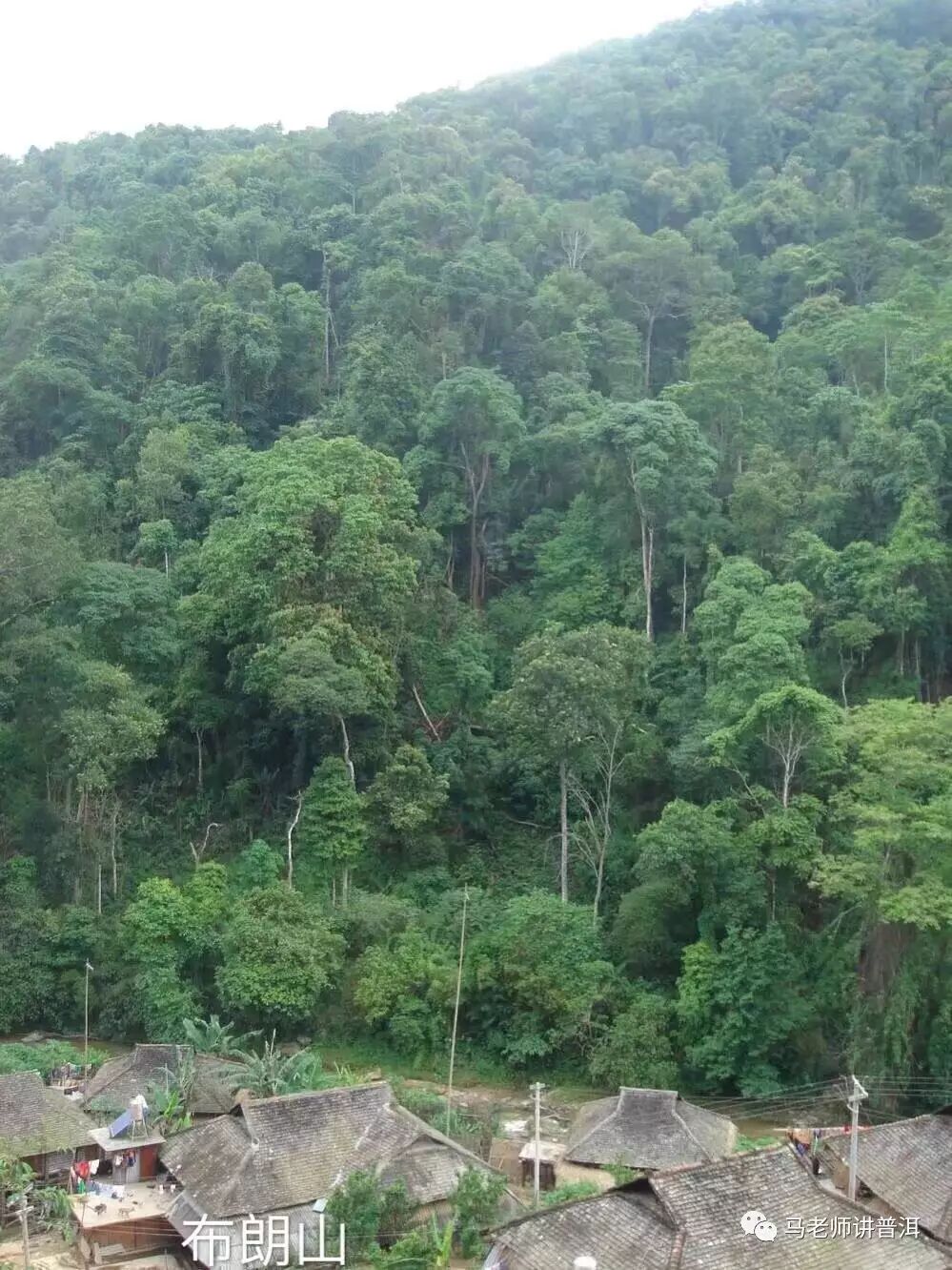 普洱茶的产地区域特征之十三|广西优质茶叶交流组