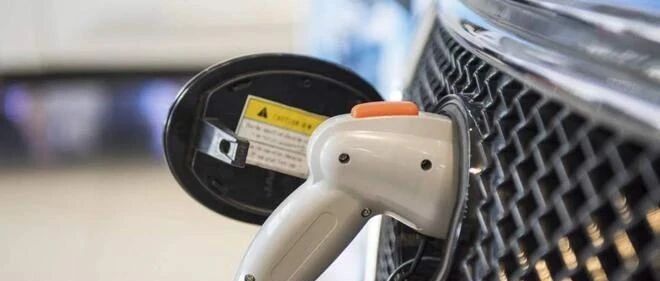 新造车运动的不死鸟