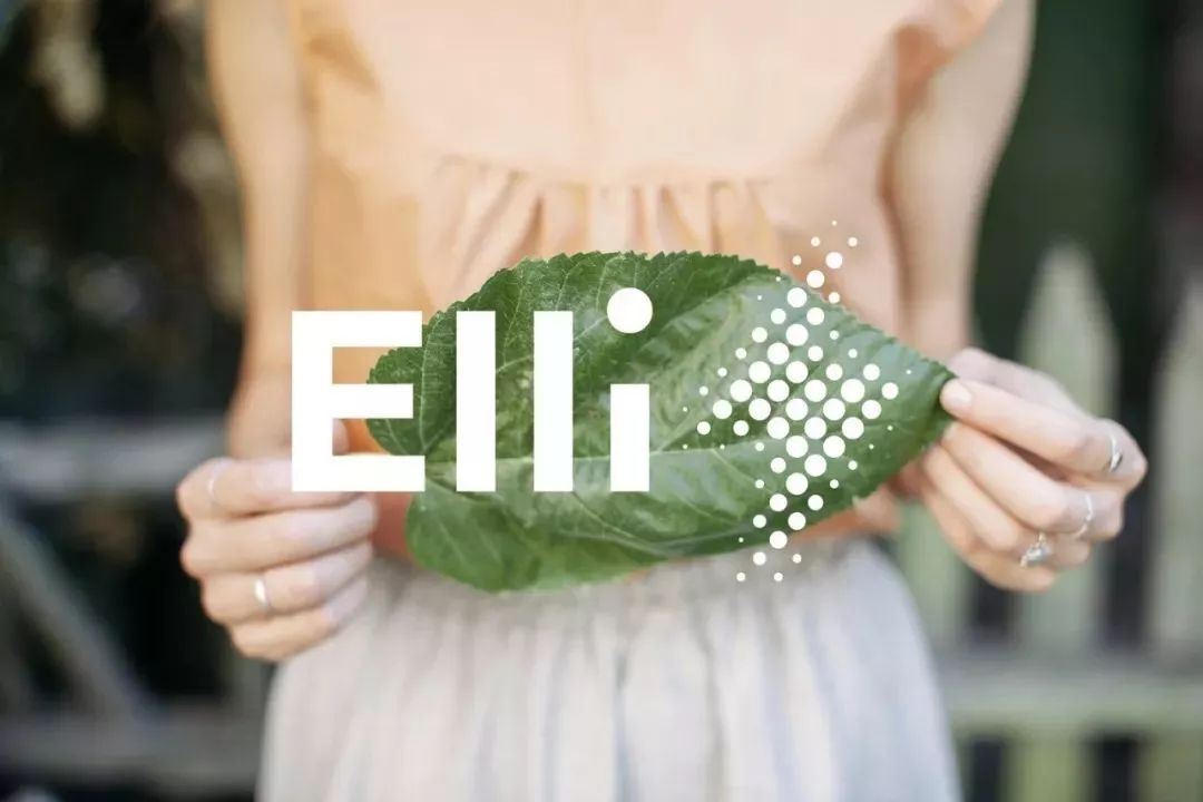 向特斯拉宣戰，大眾汽車集團創綠色能源品牌Elli治愈充電痛點 汽車 第3張
