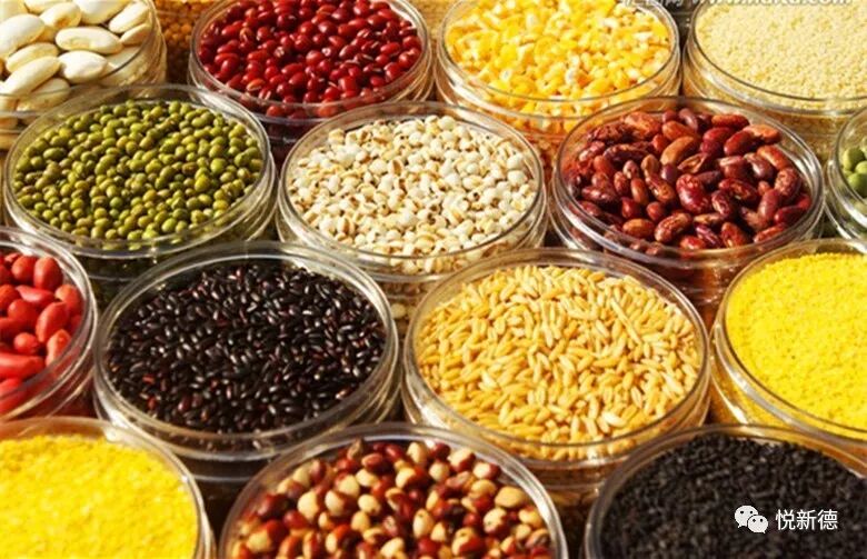 膳食中谷类食物应是提供能量的主要来源,每天摄入谷薯类食物250g～400