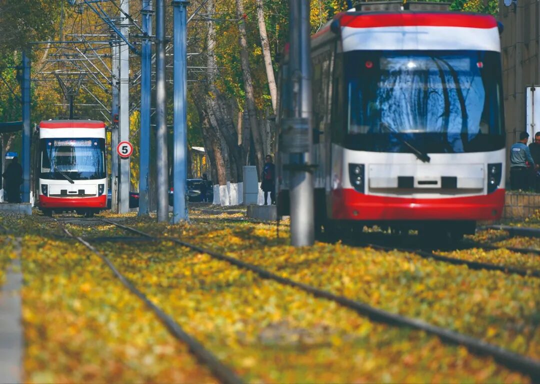 相机afc怎么调九月怎么玩儿？带好相机，这样过超快乐！_https://www.jmylbn.com_新闻资讯_第19张