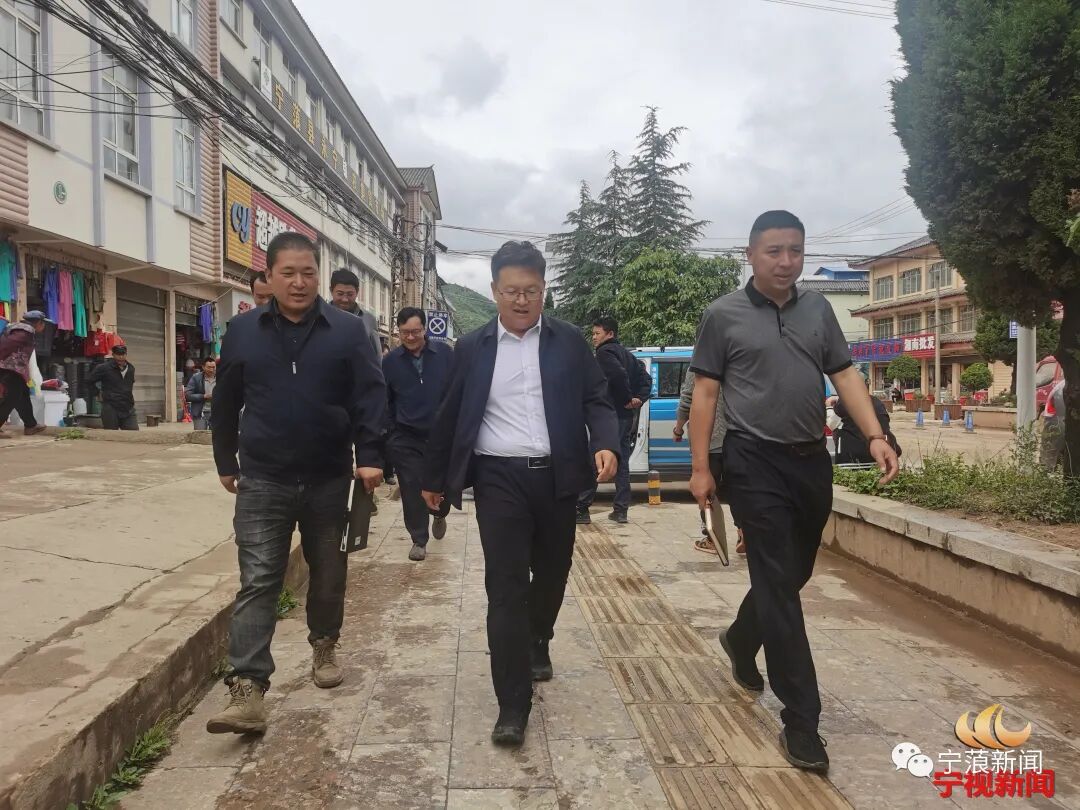 黎建勇调研永宁镇乡村振兴(田园综合体)项目推进工作