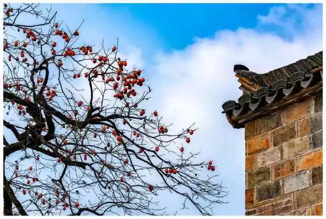 河南省带陵的县_河南省宁陵县属于哪个市_河南省陵县市属于哪个市