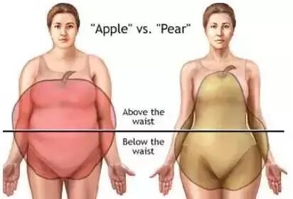 健康 || 【女人腰粗】危害巨大！！！