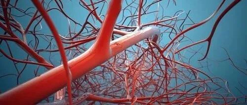 人人都可以活到100岁，只要你60岁之前……著名心血管专家洪昭光的肺腑之言！​