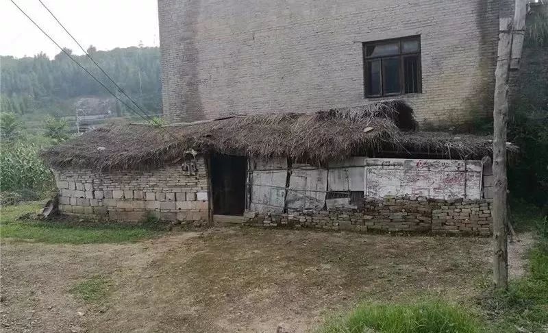 扶贫路上的“巾帼风范”