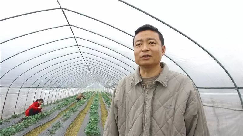 扶贫路上的“巾帼风范”