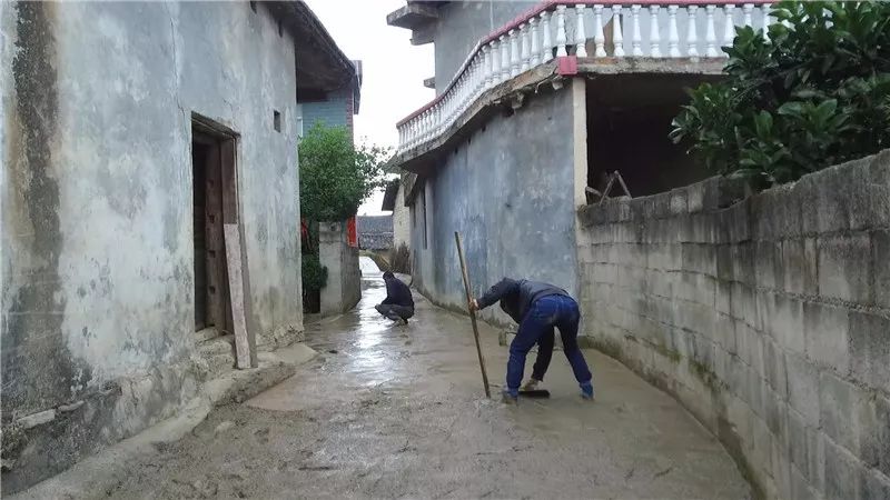 扶贫路上的“巾帼风范”