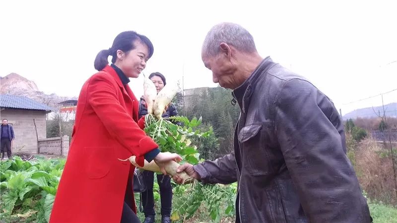 扶贫路上的“巾帼风范”
