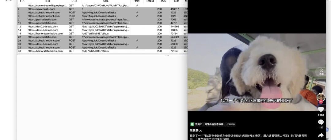 Example Image