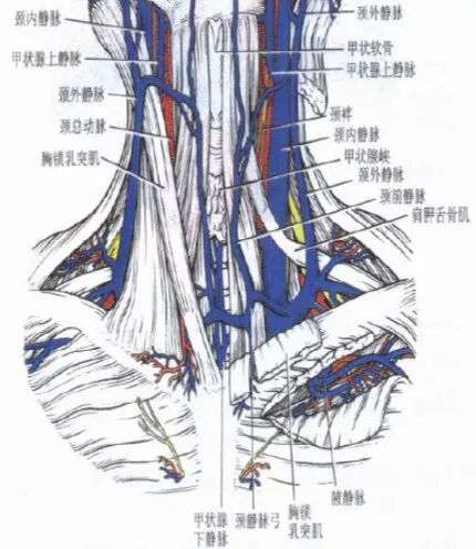 中心静脉导管怎么用中心静脉导管（CVC）使用原则_https://www.jmylbn.com_新闻资讯_第2张