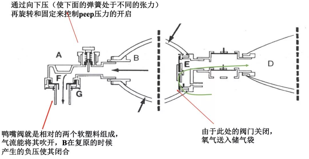 呼吸机呼气阀是什么简易呼吸器使用详解及注意事项_https://www.jmylbn.com_新闻资讯_第15张