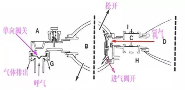 呼吸机是怎么用的简易呼吸机如何使用？_https://www.jmylbn.com_新闻资讯_第25张