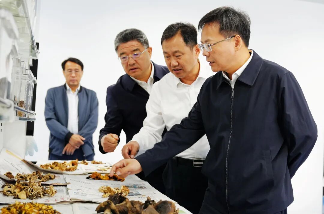 微信图片_20250929151841_129_349.jpg