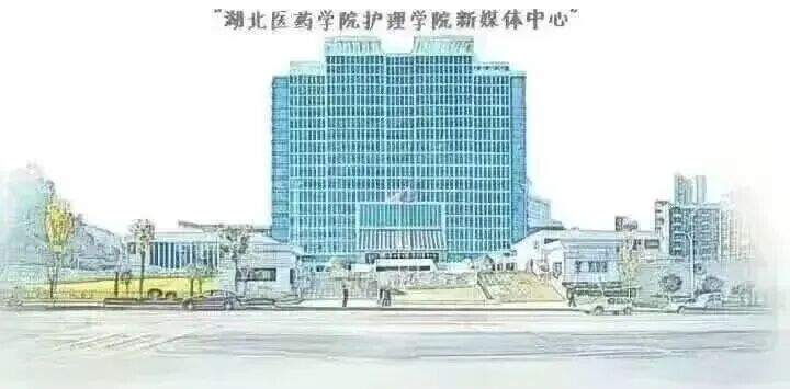 敷料包怎么打创伤包扎｜单双肩包扎_https://www.jmylbn.com_新闻资讯_第1张