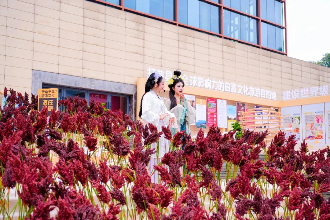 泸州市老酒协会