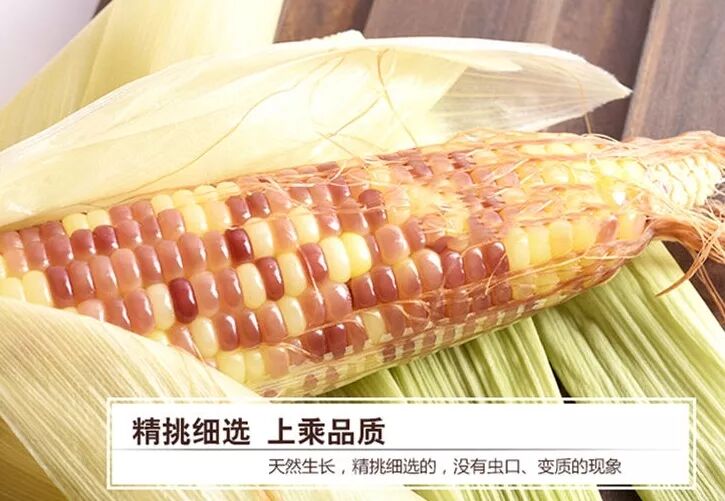 太二团云南香糯小玉米