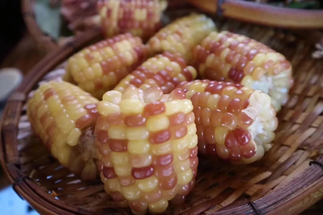 太二团云南香糯小玉米