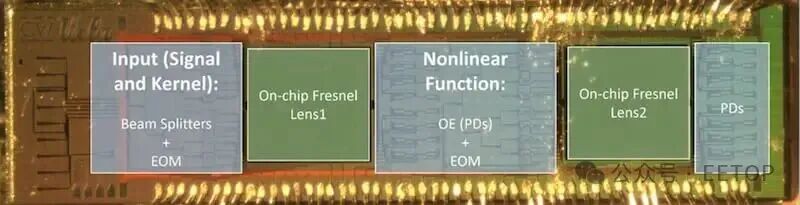 Optical microscope image of the fabricated SiPh chiplet.
