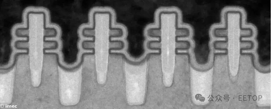 TEM image of inner wall forksheet devices.
