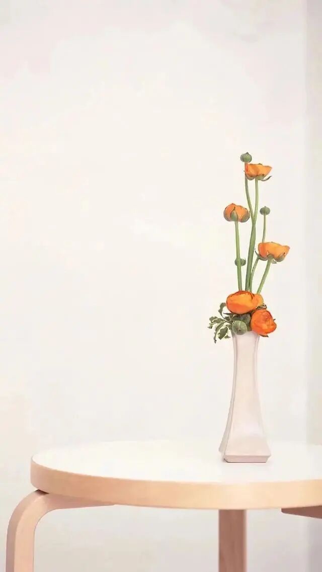 免费资源:《薄少每天对小祖宗心动》夏晴天薄景言（经典-热文）畅读