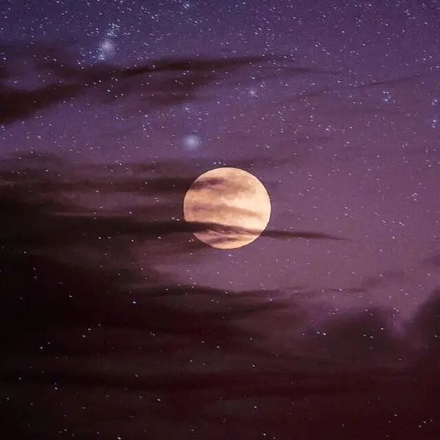 免费资源:《薄少每天对小祖宗心动》夏晴天薄景言（经典-热文）畅读