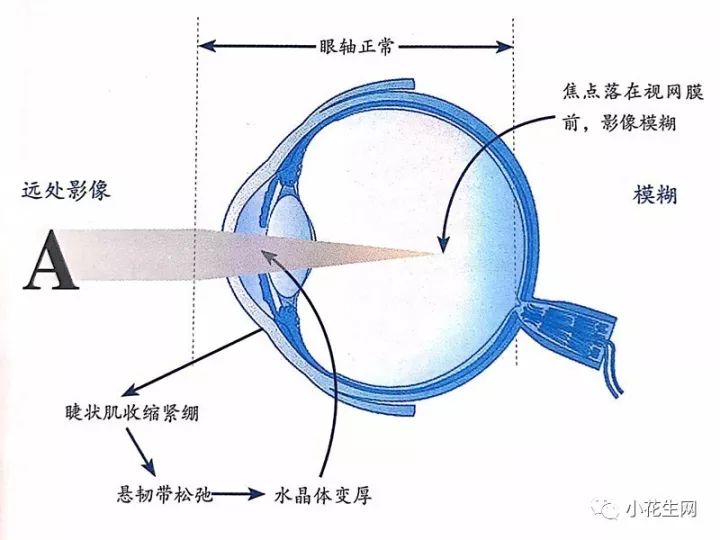 台湾眼科教授吴佩昌 保护孩子视力 父母必须知道的18个知识