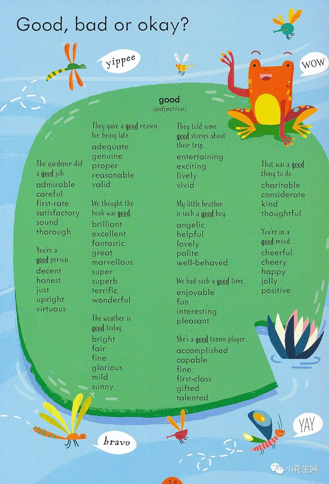 预告 | usborne 小学生写作工具书套装，练英文写作必备