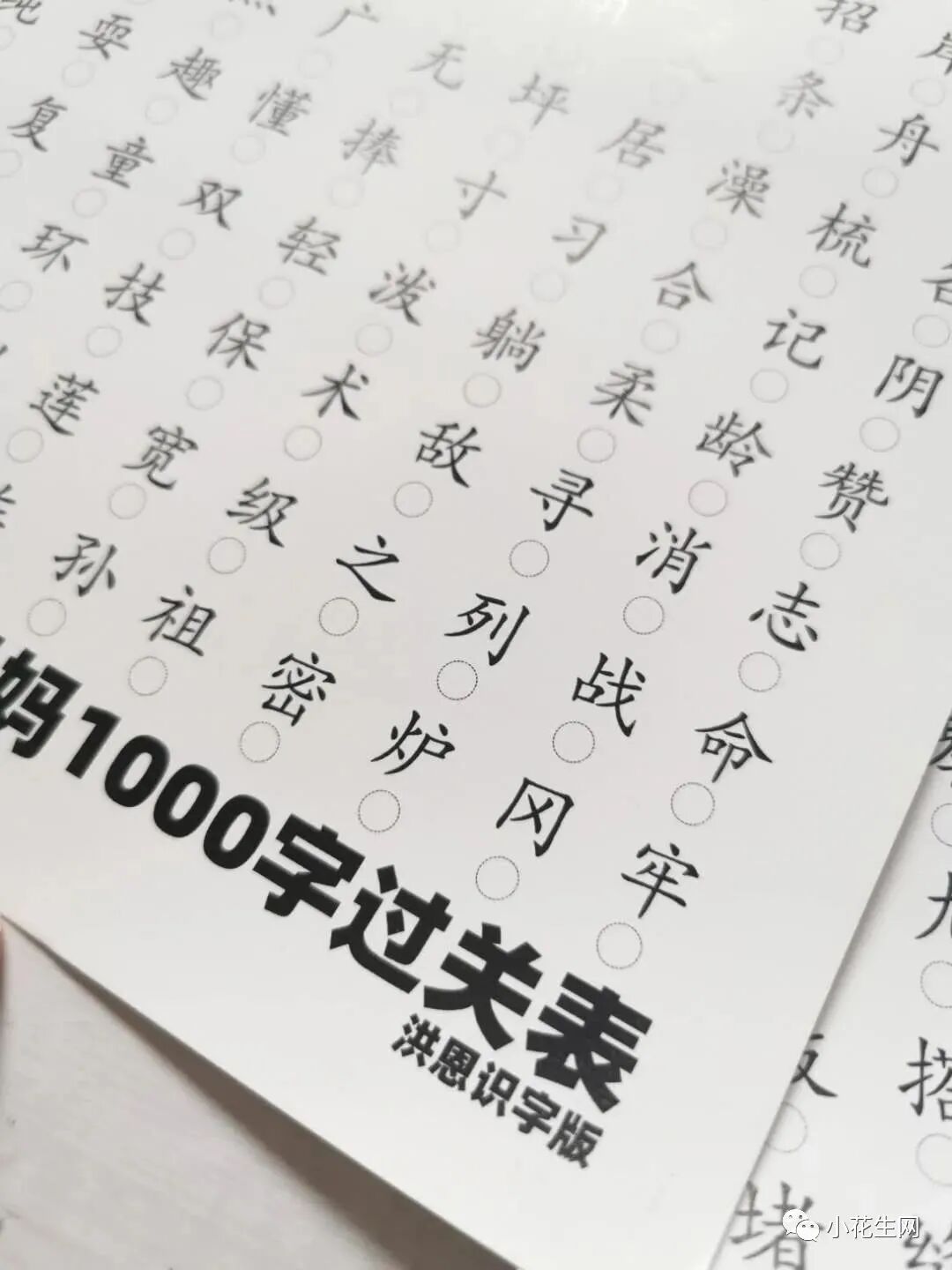 太有才了 这位妈妈 心机满满 自制字表 带女儿过关1000生字 小花生网 微信公众号文章阅读 Wemp