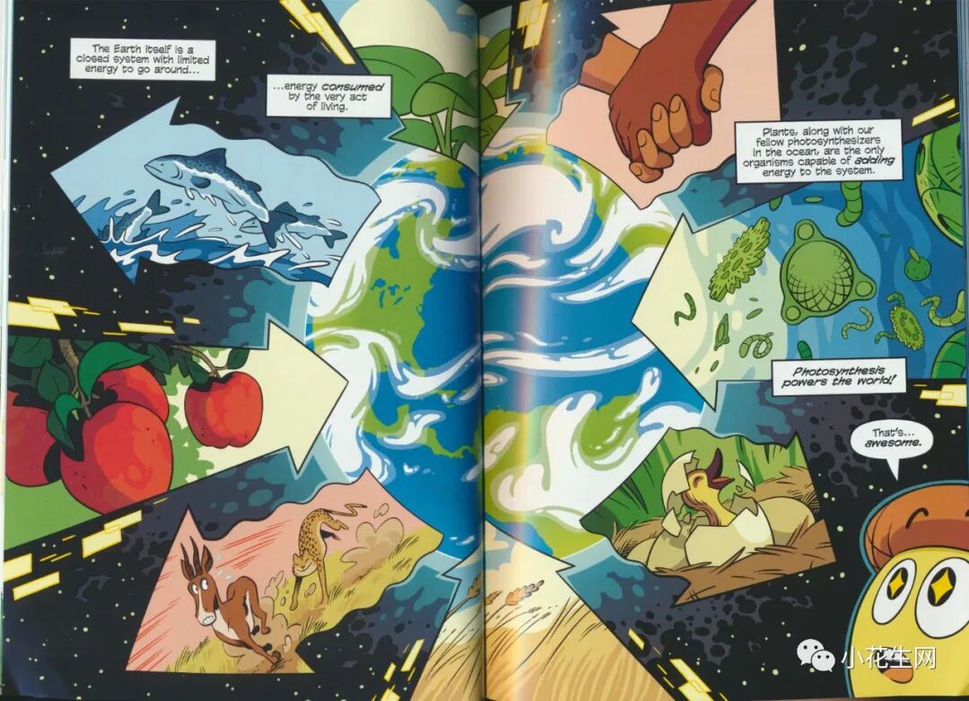 预告 最近风靡国外中小学生的 科学漫画 系列 是严肃科学 也是趣味漫画 小花生网 微信公众号文章阅读 Wemp