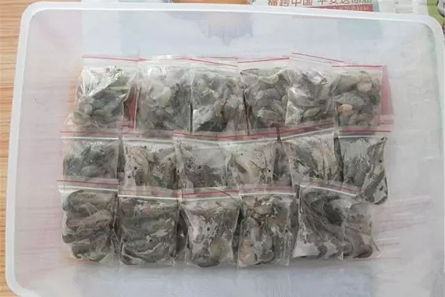 _罗汉鱼 食_ 罗汉鱼肠炎预防