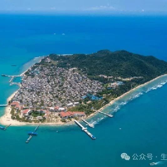 12月6日海南三亚！2024陆地生态系统遥感观测技术研讨会