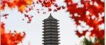 TO：正在求职路上迷茫前行的你们