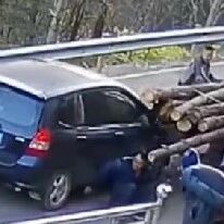 小货车停在路边装木材，后车司机刹车不及直接撞了上去