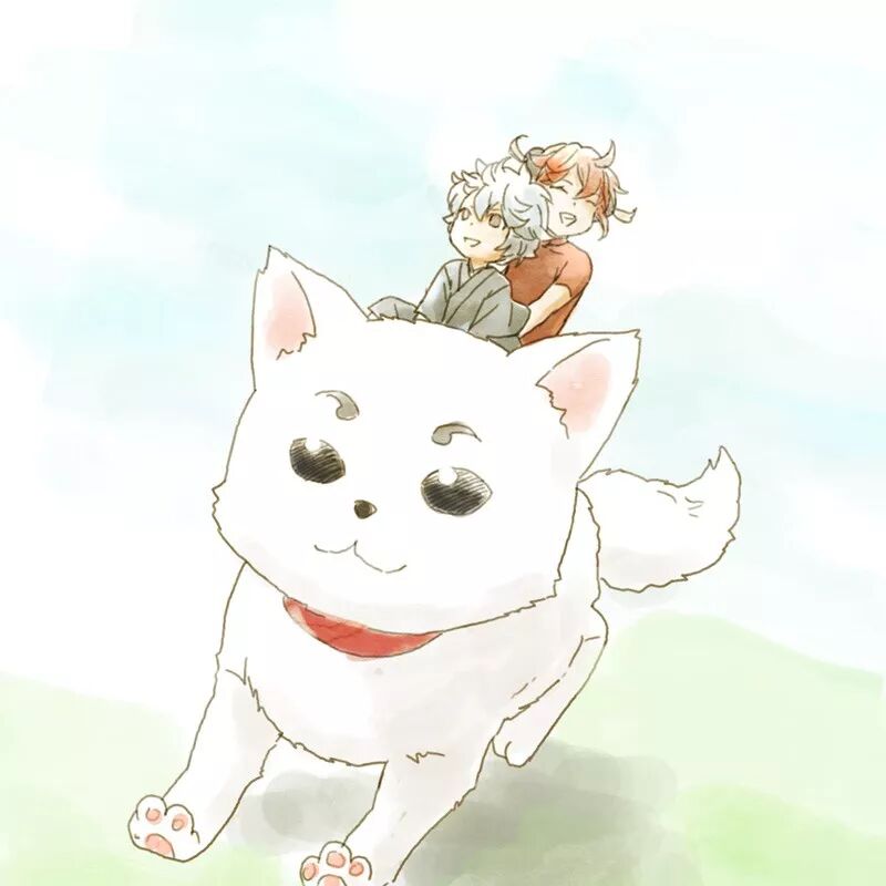 银魂头像 动漫头像 银魂壁纸 二 可可爱头像 微信公众号文章阅读 Wemp