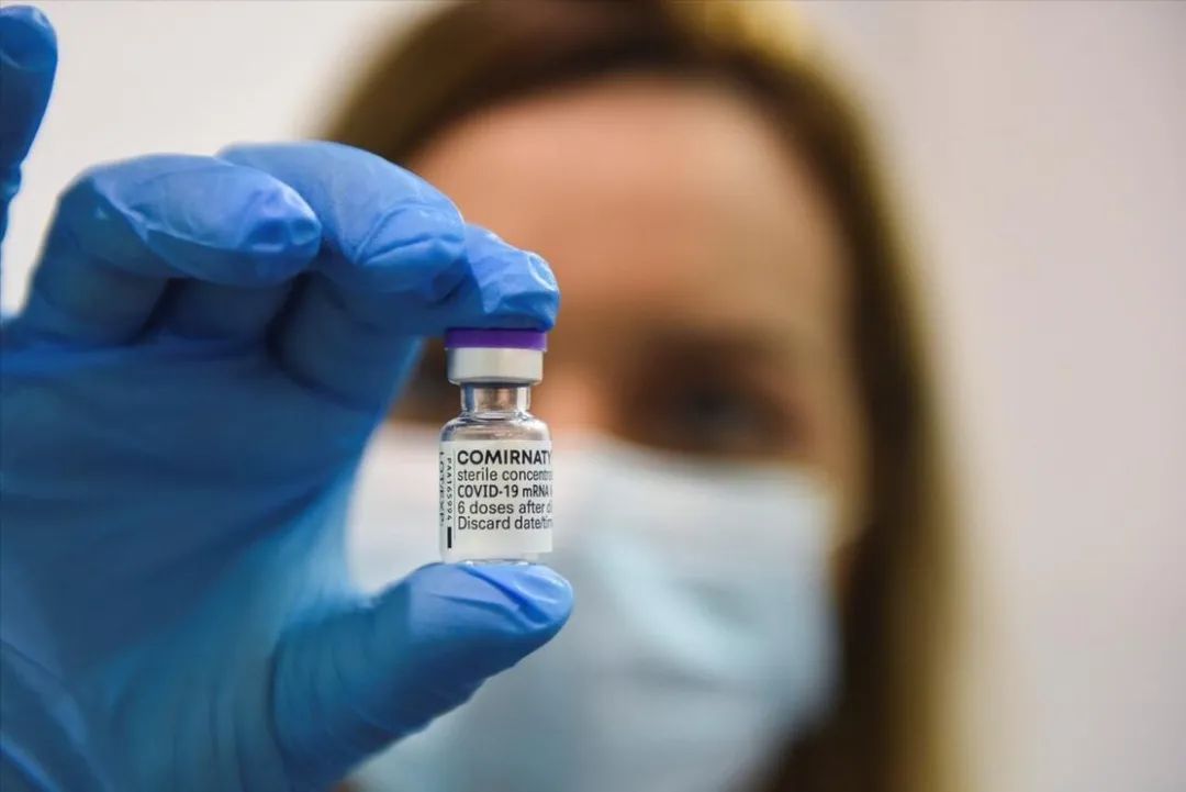 每个人都能接种！西澳500家药房将提供10万支Moderna疫苗，12岁以上适用（图） - 4