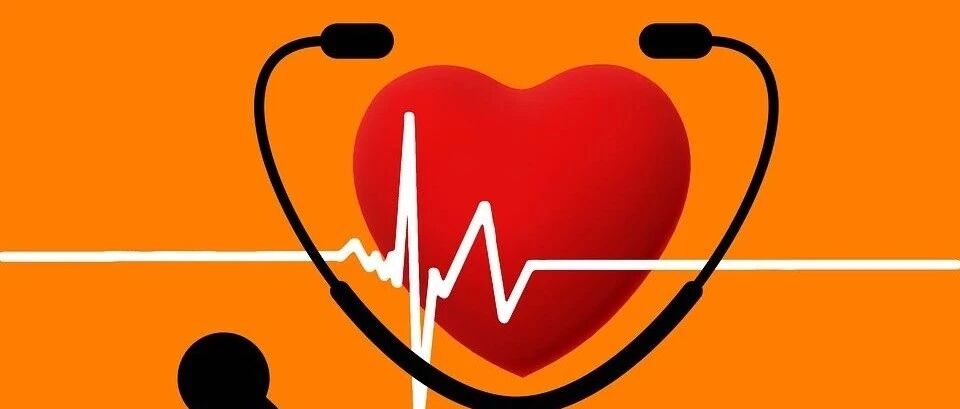 早读 | 心力衰竭患者多支CTO的处理一例