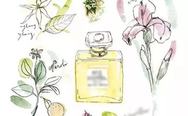 你们挚爱的香水 迷人的味道是它们的功劳 草莓大部落 微信公众号文章阅读 Wemp