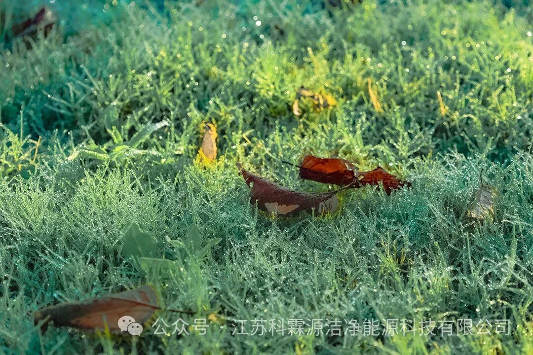 ���������ܷ�����ҵ��1 (1).png