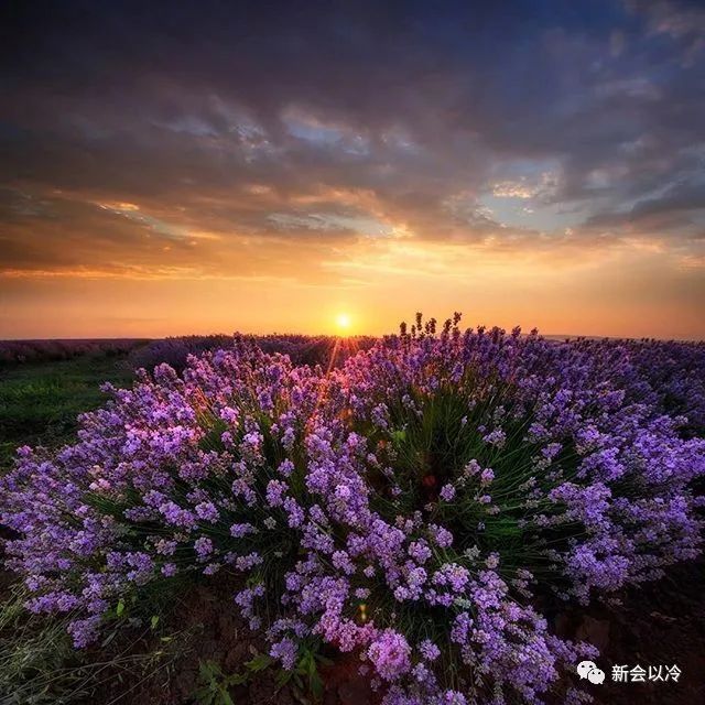 花治愈心情的说说_治愈说说_个性说说 能让许多人评论转载的说说