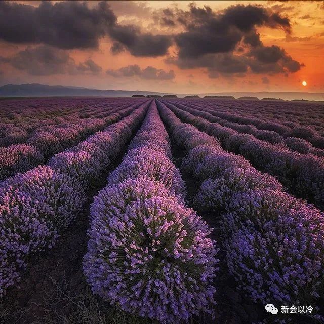 花治愈心情的说说_治愈说说_个性说说 能让许多人评论转载的说说