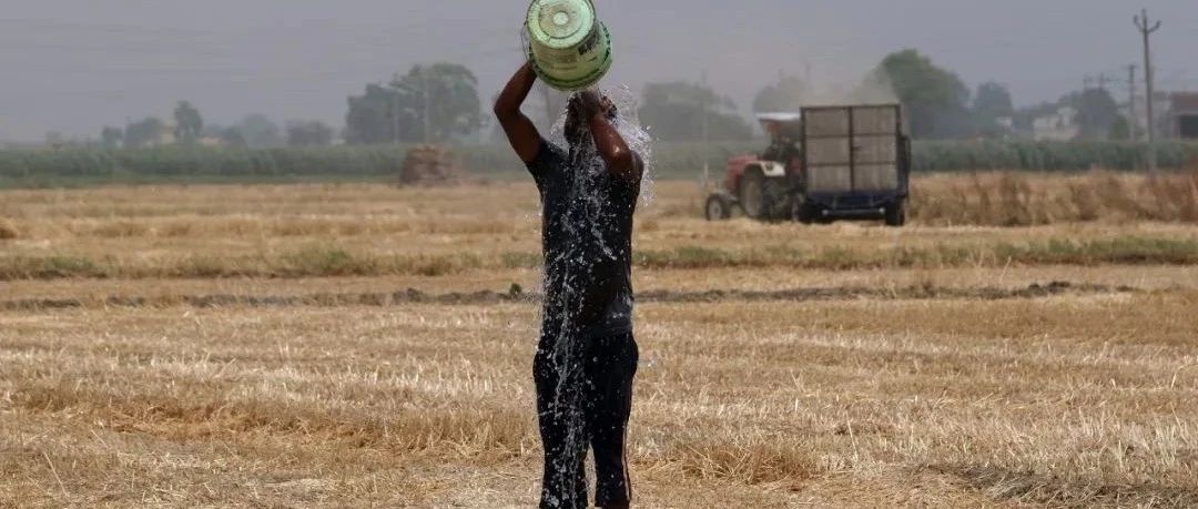 印度禁止出口小麦，欧美强烈反对——2022年谁会挨饿？