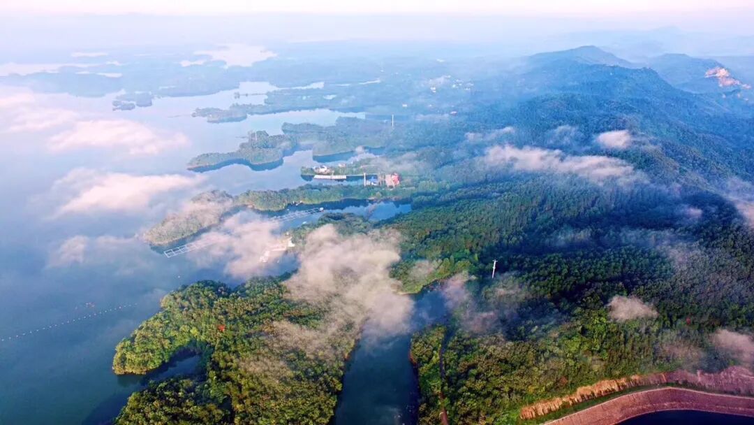 春茶骏眉中国产区有多美点此饱览中华峻美山水
