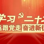 【学习二十大】宜昌运营公司党员干部职工热议党的二十大（五）