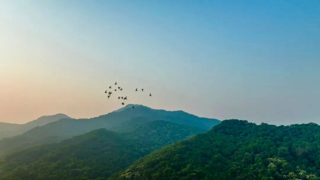 富云山刚拿到预售证！开盘在即，到底要怎么选筹？