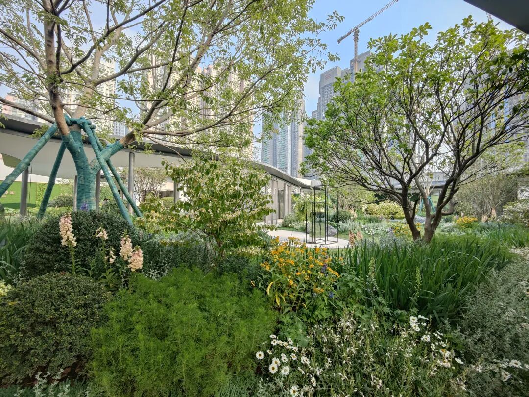 荔湾万汇天地瑧园为什么如此受欢迎？