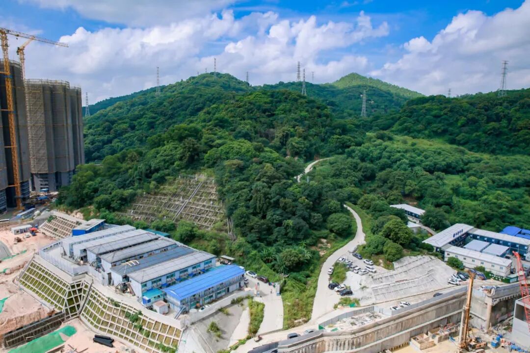 开盘10*去化8成！在平均去化3成的广州，它凭什么？