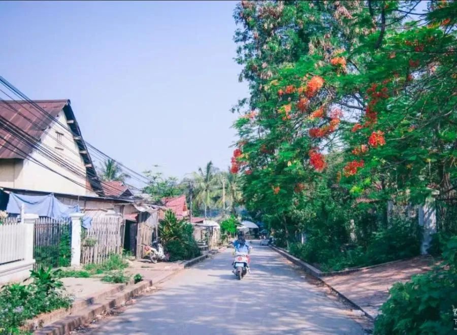 2023年老挝琅勃拉邦：旅游攻略