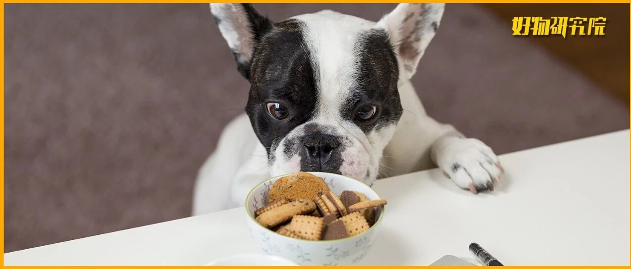 宠物吃播：带血的暴利生意