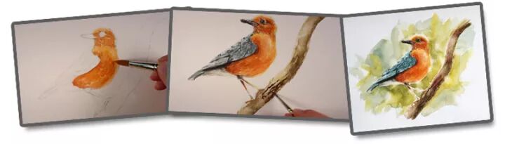 水彩教程：春天到了，我们来画一只鸟